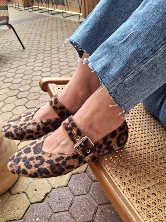Chaussure Hermine