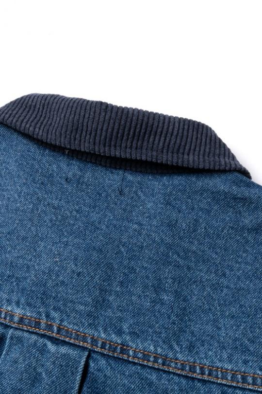 Veste Henri