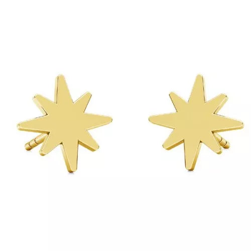 Boucles d'oreilles étoiles du nord