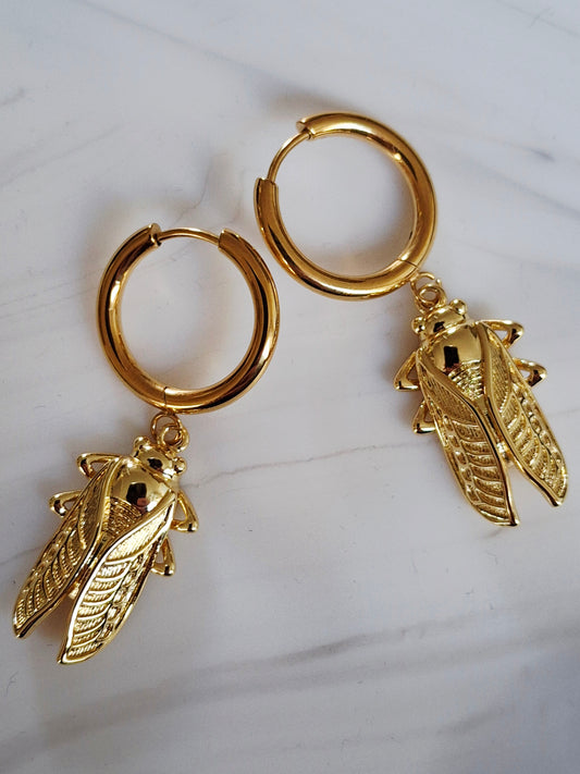 créole cigales du sud