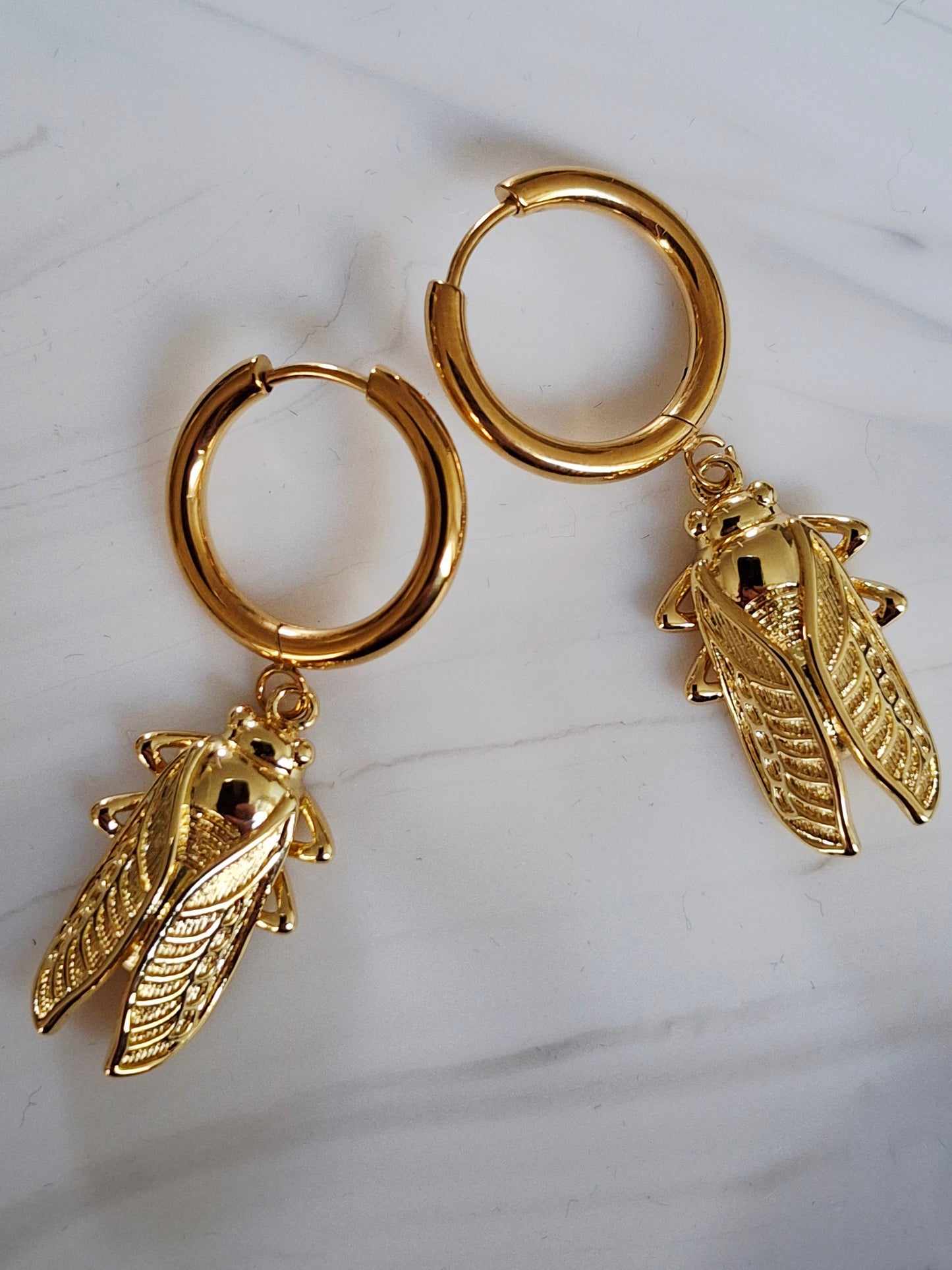 créole cigales du sud