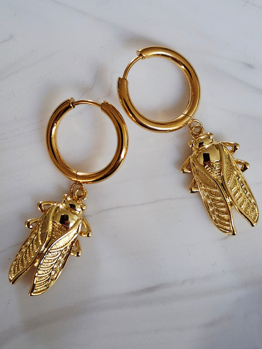 créole cigales du sud